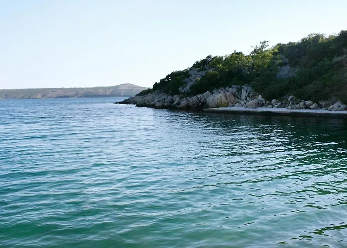 Seaside With A Swimming Pool Posedarje, Novigrad - 6162 Lejlighed *